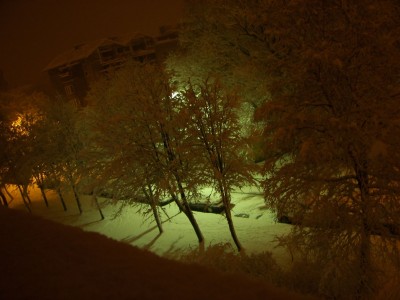 virgin snow.jpg