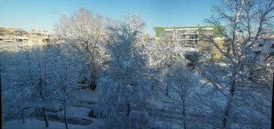 ziema snow web.jpg