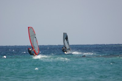 IMG_7175m.jpg