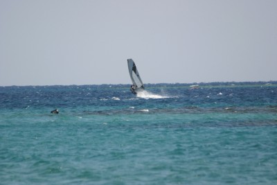 IMG_7160m.jpg