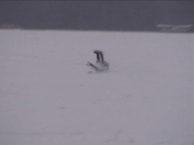 snowkite 024.jpg