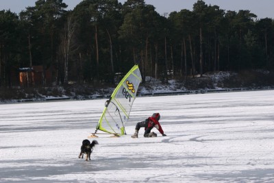IMG_8226m.jpg