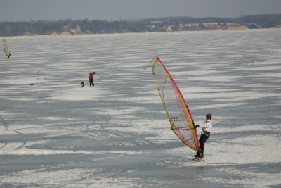 IMG_8249m.jpg