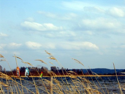 IMG_3416.JPG