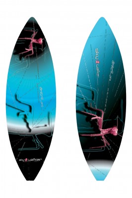 D-wave_mantis.jpg