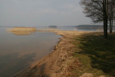 Resize of IMG_7734.JPG
