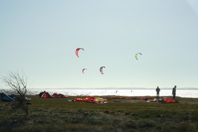 IMG_6786.JPG