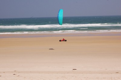 DSC_0483kite.jpg