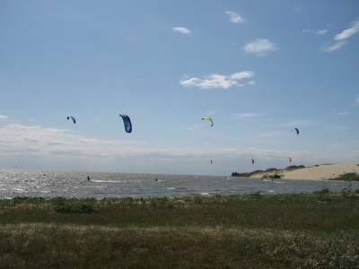 IMG_2892.jpg