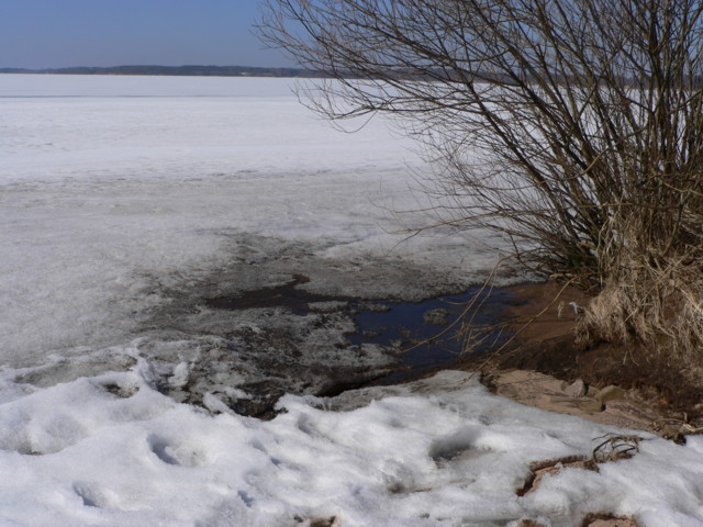 Kapinaites, radau skysto vandens.JPG