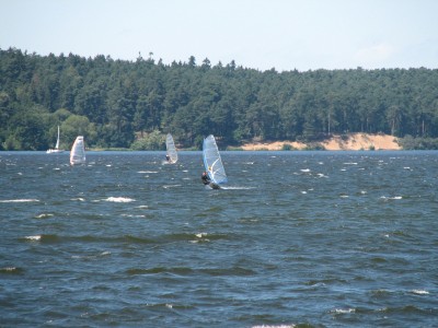 IMG_3572.jpg