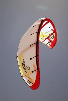 Rebel08 small.JPG