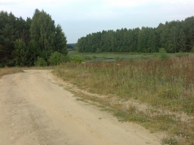 20070821059.jpg