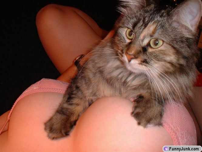 kitty_likes.JPG
