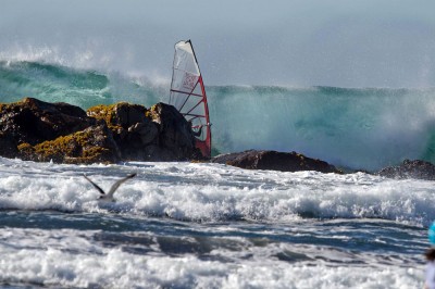 17_Sylvain_D[1].jpg