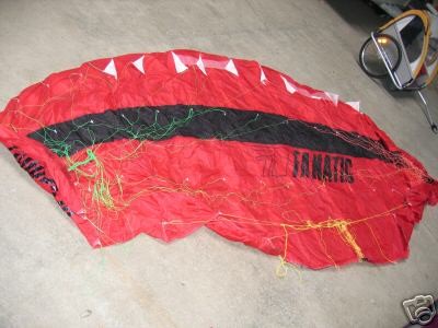 fanatic dragon fly.jpg