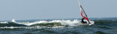 ilgas_9916.jpg