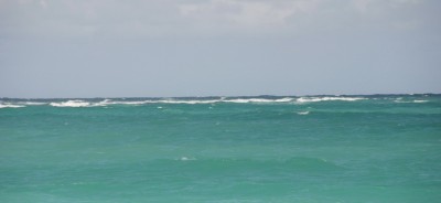 IMG_4309_resize_resize.jpg