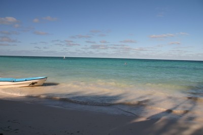 IMG_4230_resize_resize.JPG