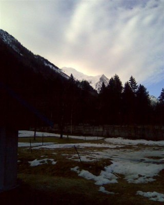 Austa (Medium).jpg