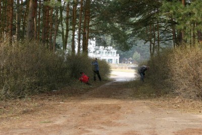 Talka17.jpg