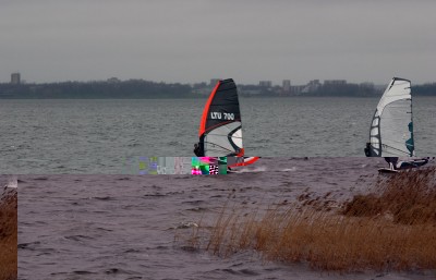 IMG_4999t.jpg