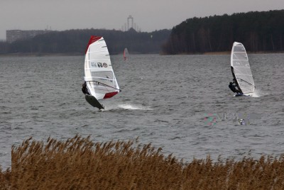 IMG_5014tm.jpg