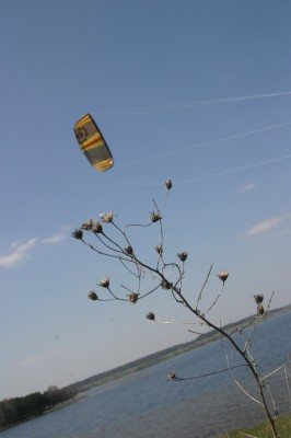 IMG_5483.JPG
