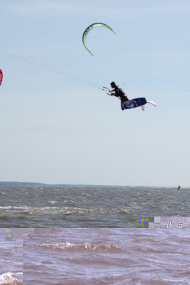 DSC_1822.JPG