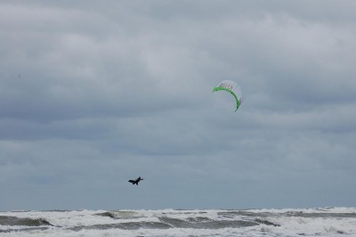 DSC_2324.JPG