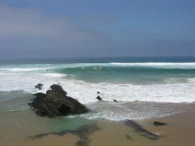 DSCN0786.jpg