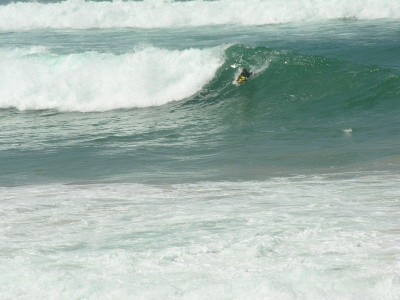 DSCN0791.jpg