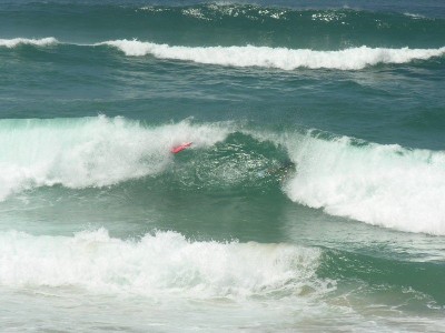 DSCN0807.jpg