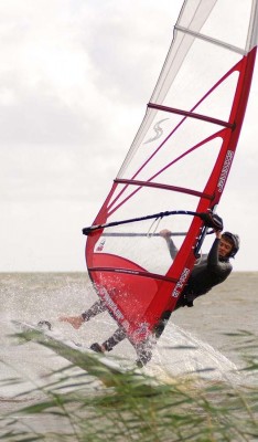 DSC_8282m.jpg