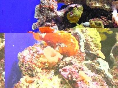 DSCN1704.jpg