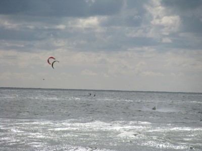 2008 08 31 051.jpg