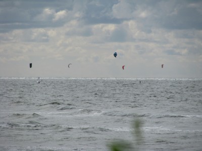 2008 08 31 054.jpg
