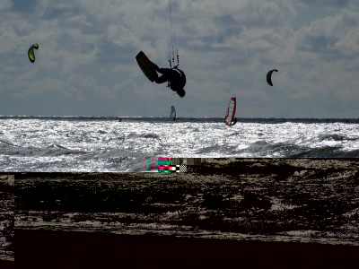 DSCF1386.jpg