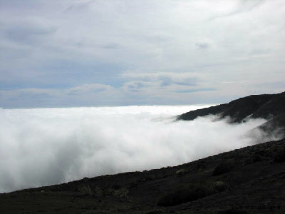 DSCN2354.jpg