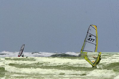 IMG_2016_m.JPG