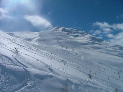 DSCF68761.jpg