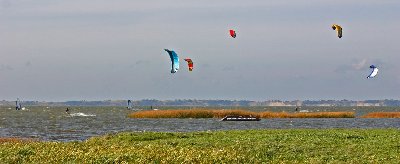 IMG_9726t_DRE.jpg