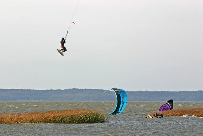 IMG_9863t_DRE.jpg
