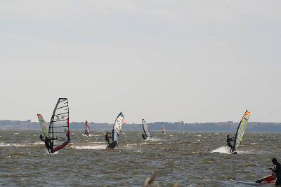 IMG_7368.jpg