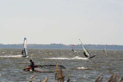 IMG_7370.jpg