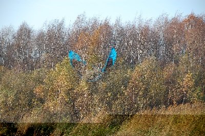 DSC_3163.JPG