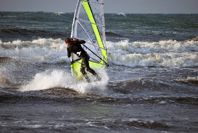 DSC_0196.jpg