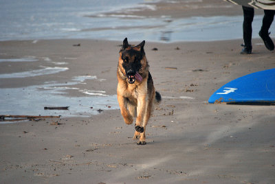 DSC_0214.jpg