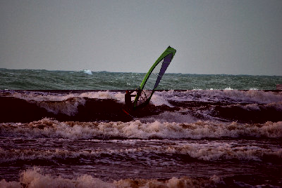 DSC_0250.jpg
