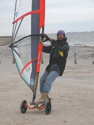 doglandsailing.jpg